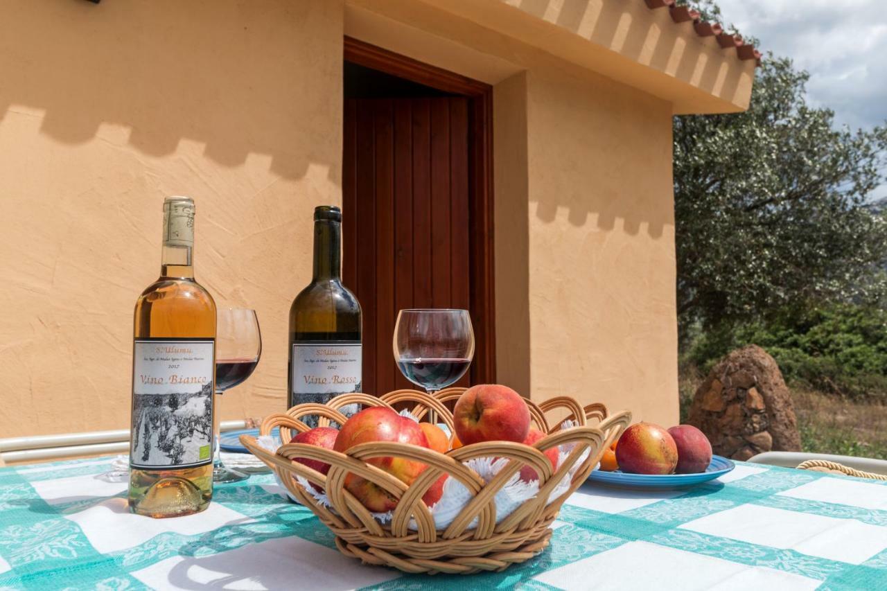 S'Ulumu Guest House Доргали Екстериор снимка