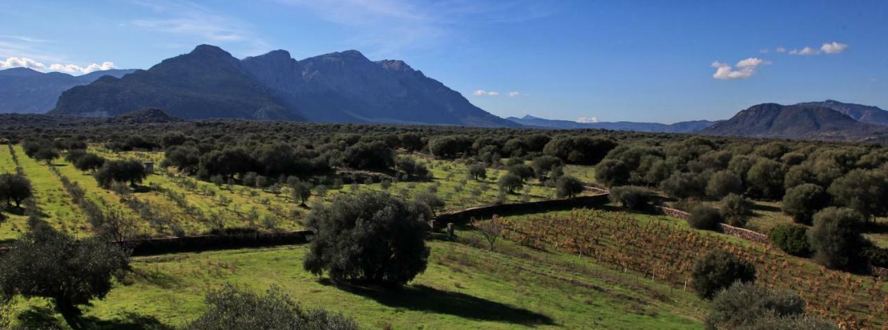 S'Ulumu Guest House Доргали Екстериор снимка